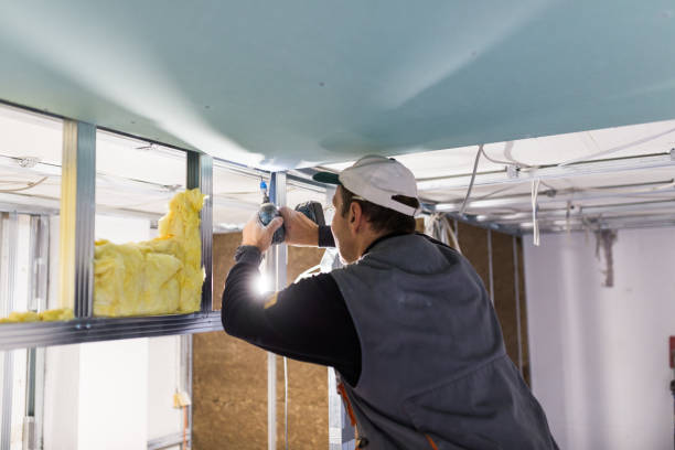 Best Energy Efficiency Solutions in Shaw, MS