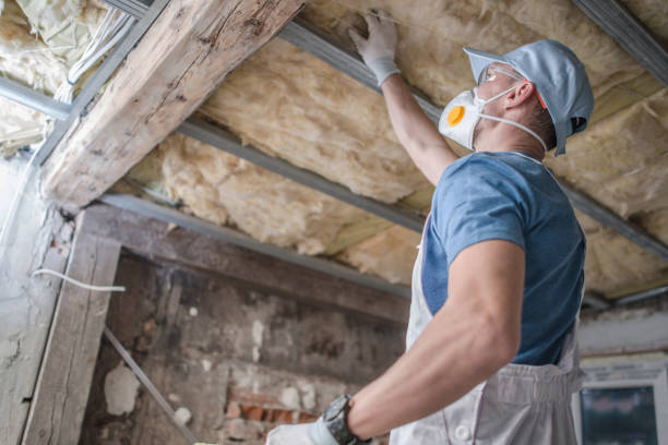 Best Residential Insulation in Shaw, MS
