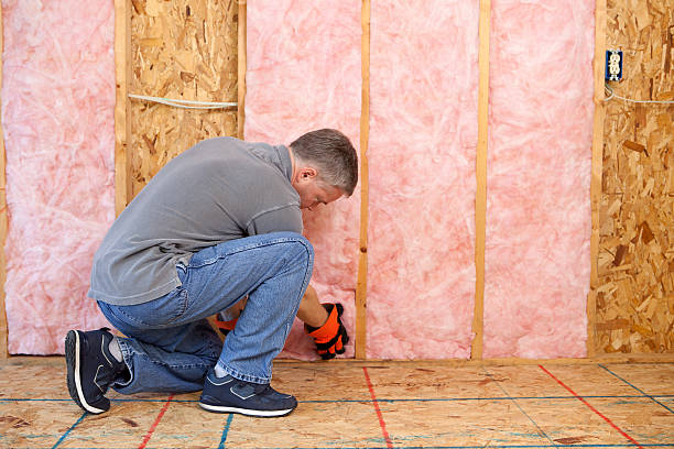 Best Residential Insulation in Shaw, MS